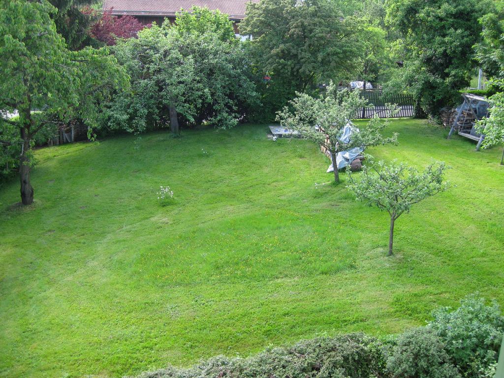 Apartamento Appartementhaus Moos